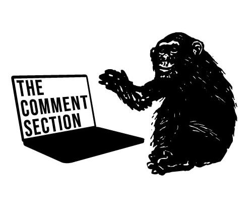 The Comment Section Band